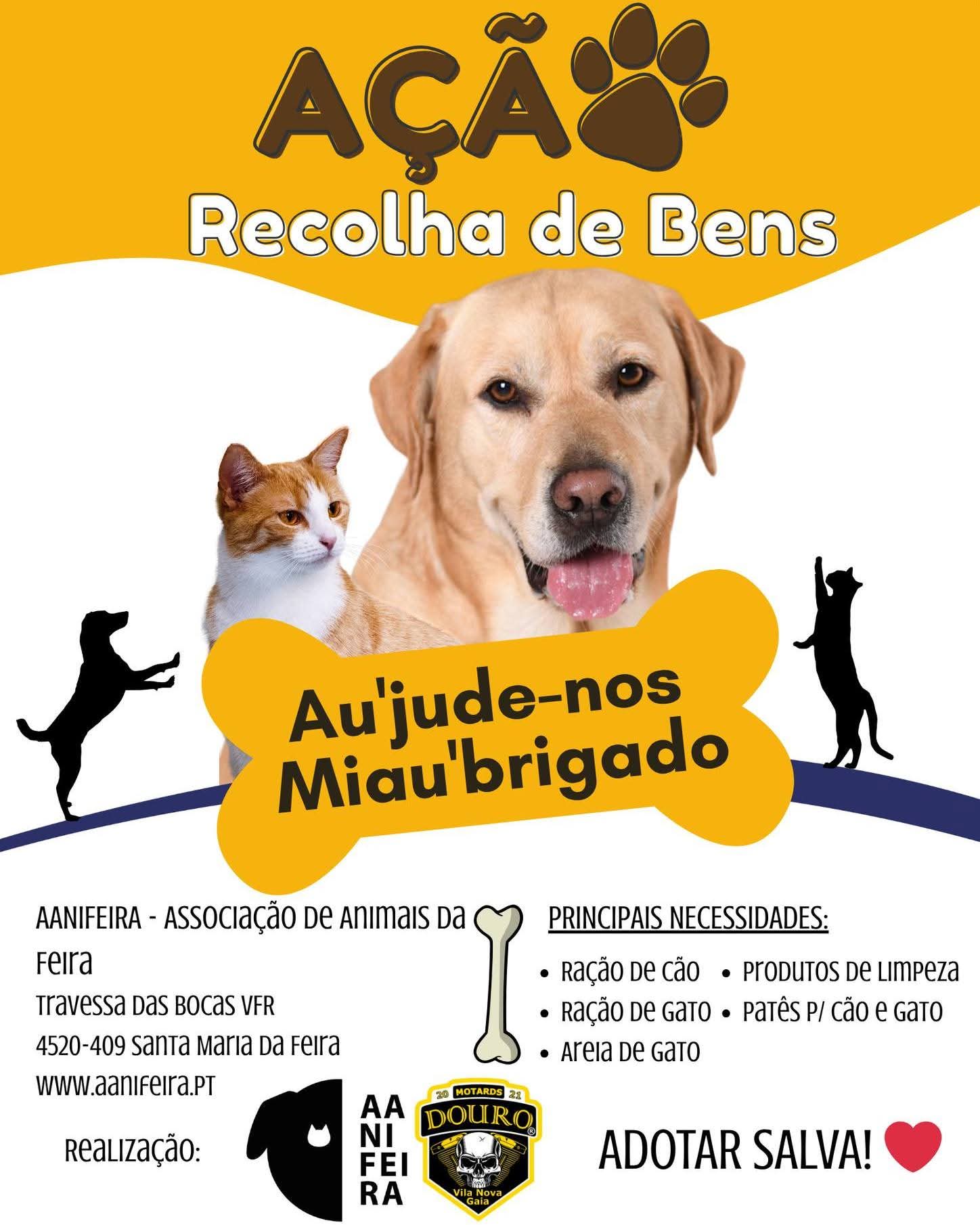 evento_aanifeira_2025